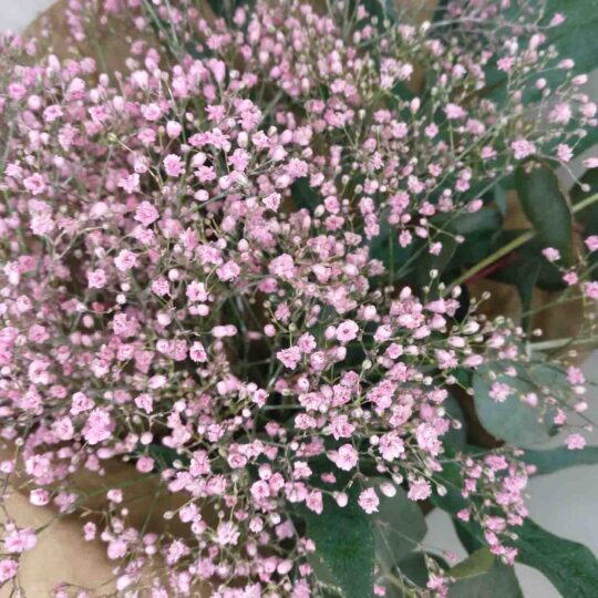 Bouquet de paniculata de color - Imatge 4