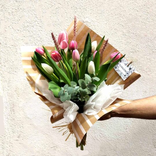 Tulips - Image 8