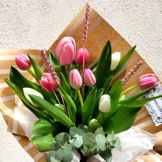 Tulips - Image 6