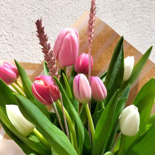 Tulips - Image 7