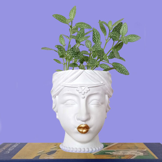 Priya head pot