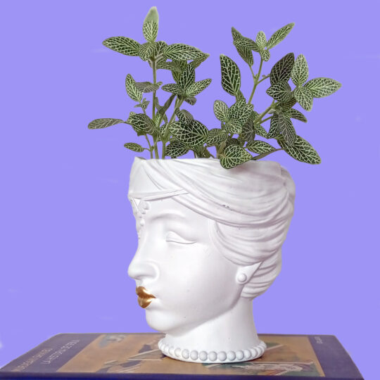 Priya head pot - Image 2