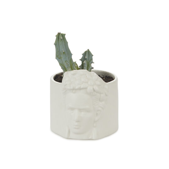 Frida blanca - Imagen 5