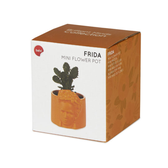 Frida groga - Imatge 4