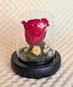 Alternative view of Cúpula de vidre amb rosa vermella