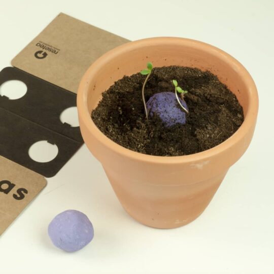 Bombas de biodiversidad de Flores Silvestres Moradas - Imagen 2