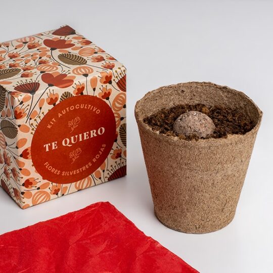 Kit de autocultivo con mensaje: Te quiero - Imagen 2