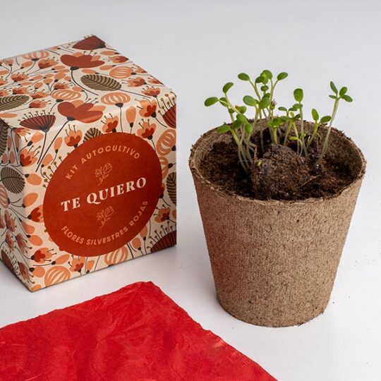 Kit de autocultivo con mensaje: Te quiero - Imagen 4