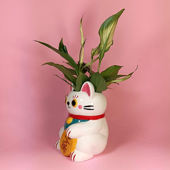 Maneki neko blanco - Imatge 2