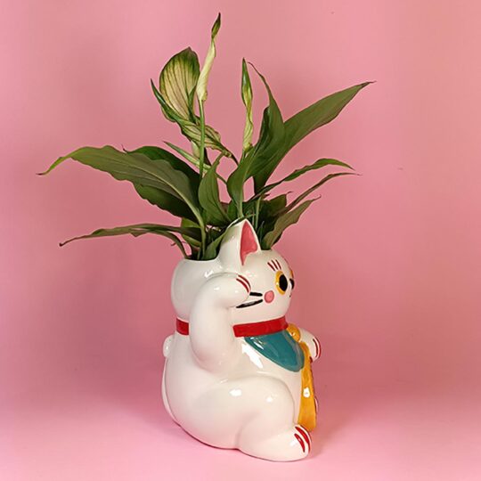 Maneki neko blanco - Imatge 4
