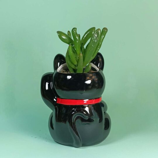 Maneki neko negro - Imagen 3