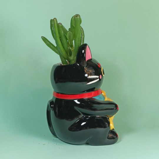 Maneki neko negro - Imagen 4