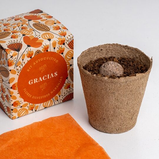 Kit d'autocultiu amb missatge: Gràcies - Imatge 2