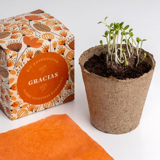 Kit d'autocultiu amb missatge: Gràcies - Imatge 3