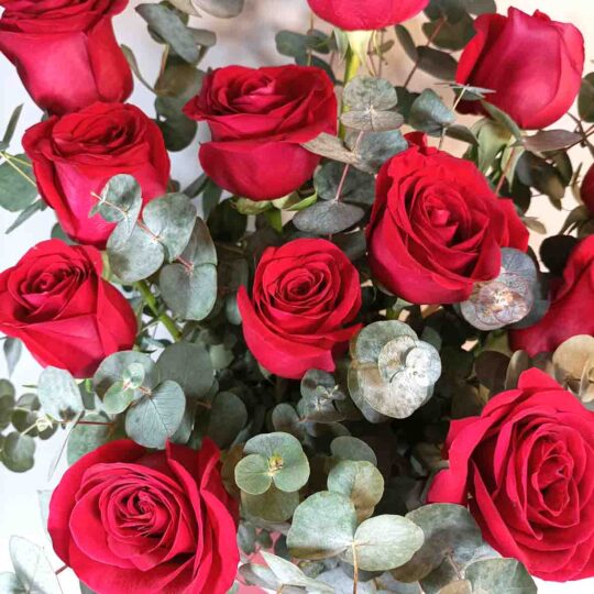 Capsa de 12 roses vermelles - Imatge 3