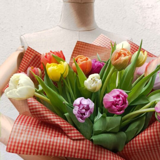 Tulips - Image 5