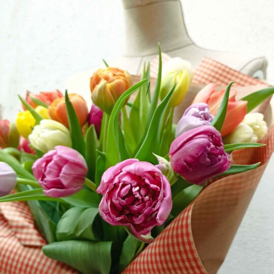 Tulips!