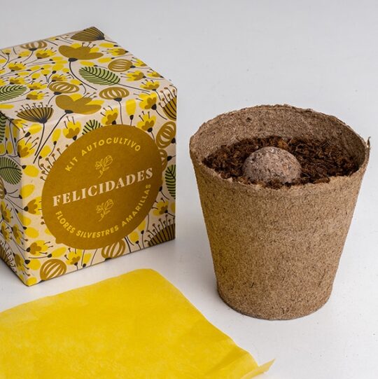Kit de autocultivo con mensaje: Felicidades - Imagen 4