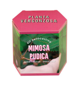 Kit Autocultivo de Mimosa Pudica – Planta vergonzosa