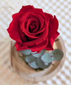 Alternative view of Cúpula de vidre cor