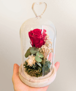 Cúpula de vidre cor