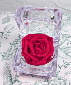 Alternative view of Caixa anell amb rosa